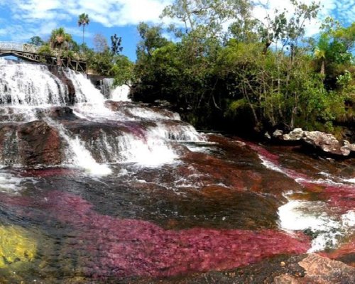 caño cristales