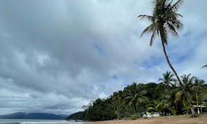 Bahía Solano: Ballenas a la vista