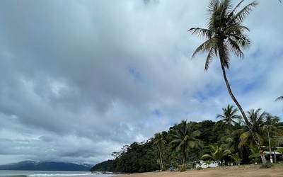 Bahía Solano: Ballenas a la vista