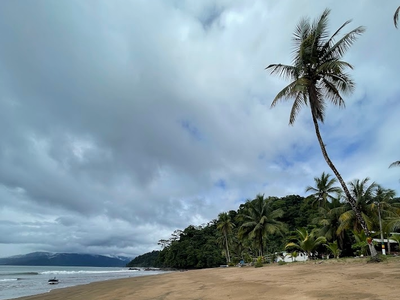 Bahía Solano: Ballenas a la vista