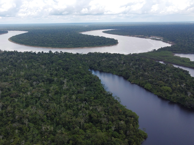 Amazonas: Navega por sus ríos, explora la selva y maravíllate con su biodiversidad