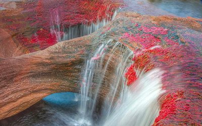 Cano Cristales: El río de los cinco colores