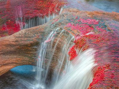Cano Cristales: El río de los cinco colores