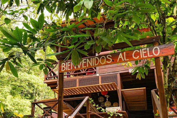 Caminata ecólogica reserva natural El Cielo