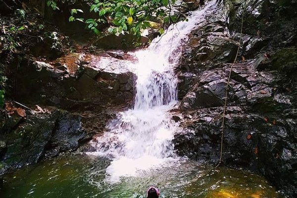 Caminata ecólogica reserva natural El Cielo