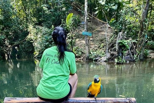 Caminata ecólogica reserva natural El Cielo