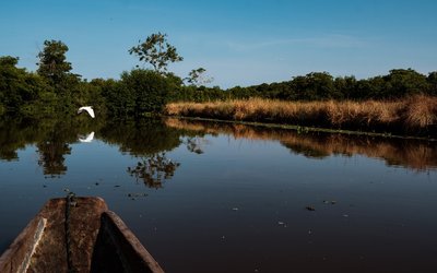 actividad caño balsa