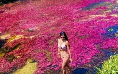 Tour Cano Cristales, experiencia completa