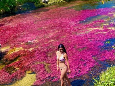 Tour Cano Cristales, experiencia completa