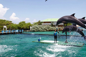 tour panoramico islas del rosario