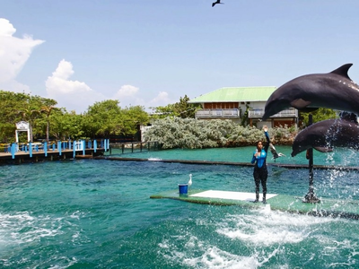 tour panoramico islas del rosario