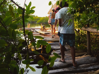 siembra de manglares