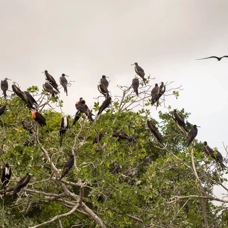 vista 360°, avistamiento de aves y atardecer