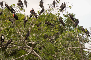 vista 360°, avistamiento de aves y atardecer